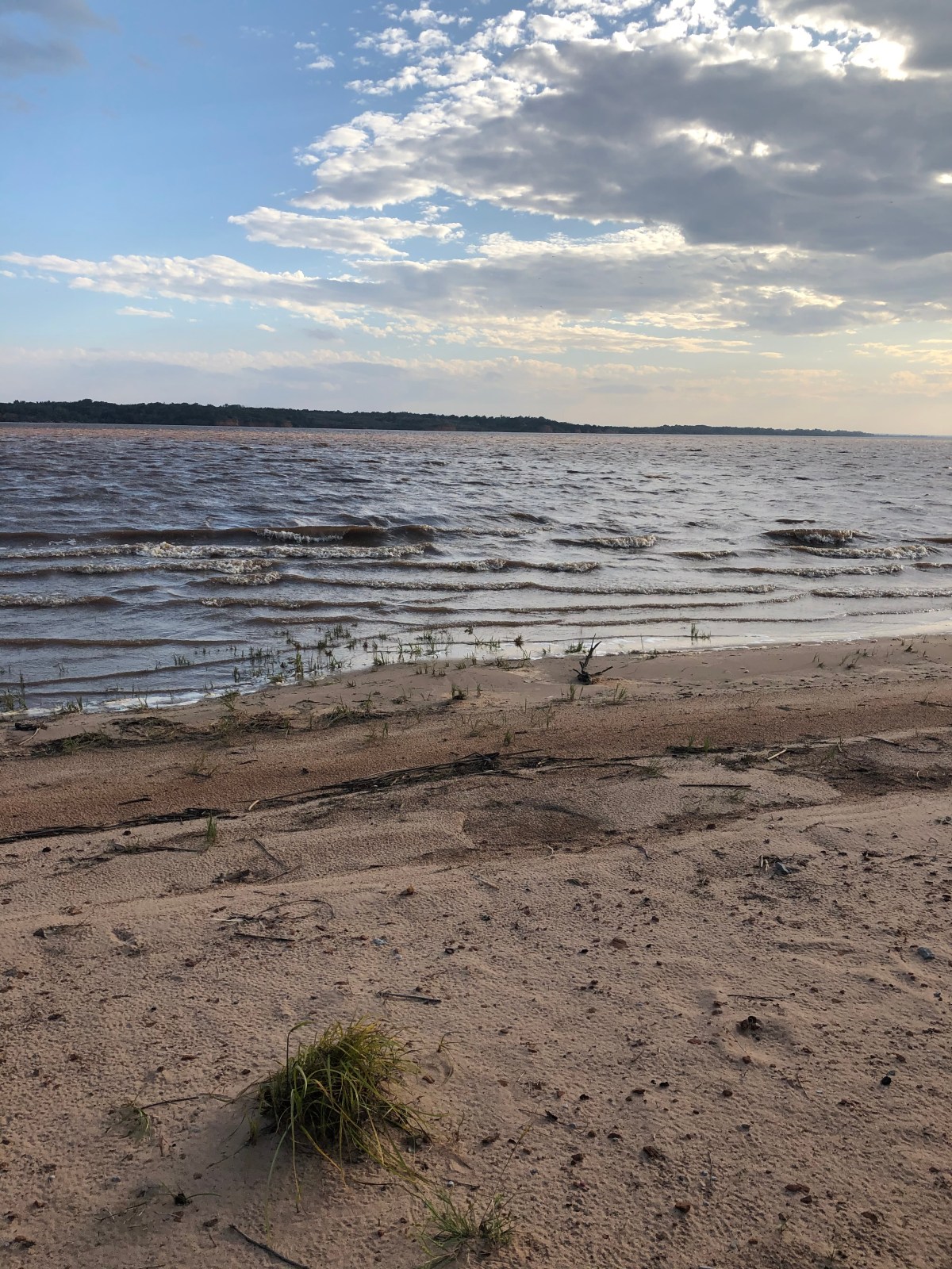 When the Waves&nbsp;Crash