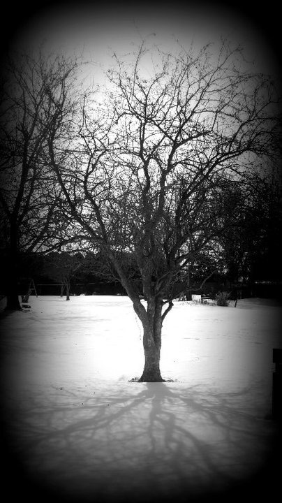 And So it Begins………..